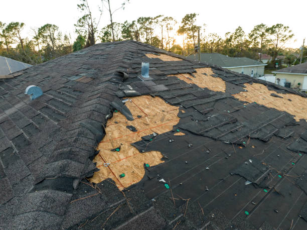 Roof Coating Services in East Grand Rapids, MI