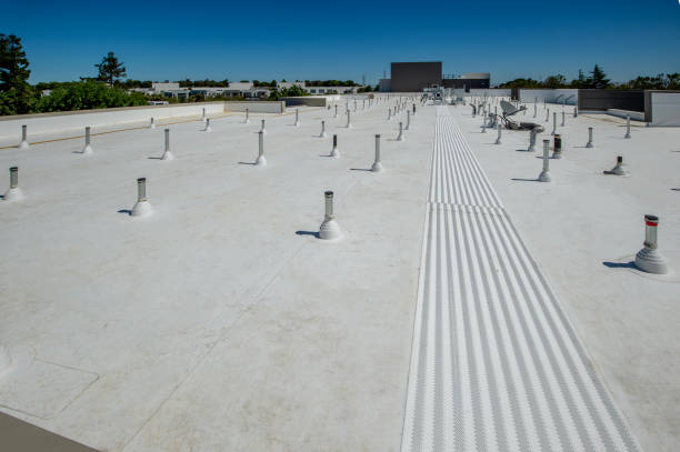 Best Asphalt Shingles Roofing  in East Grand Rapids, MI